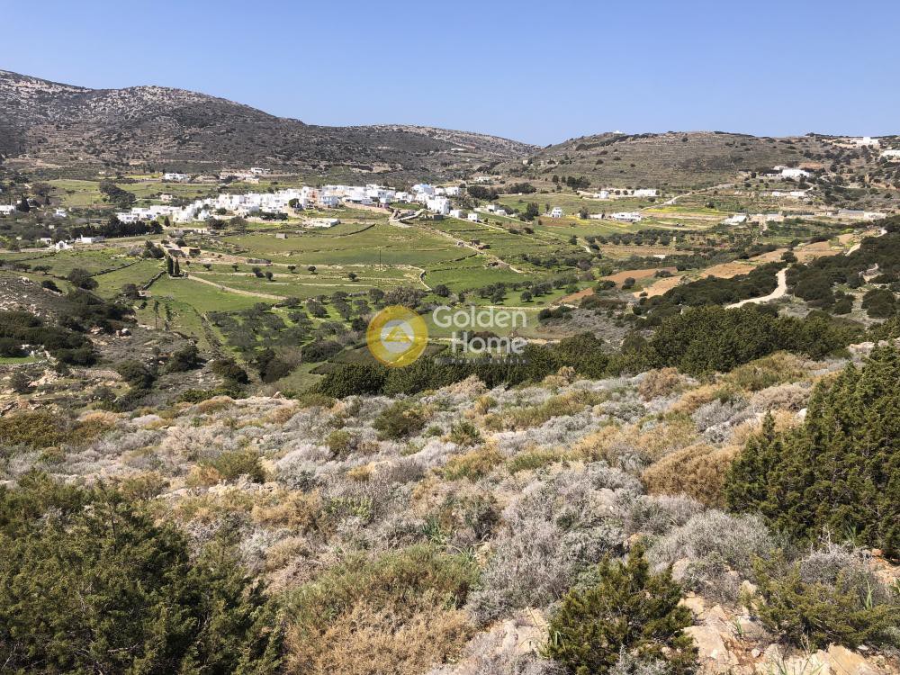 Αγροτεμάχια 12.788 τ.μ. προς πώληση, Κώστος