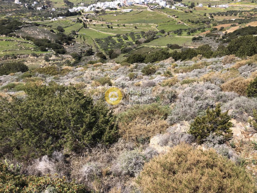 Αγροτεμάχια 12.788 τ.μ. προς πώληση, Κώστος