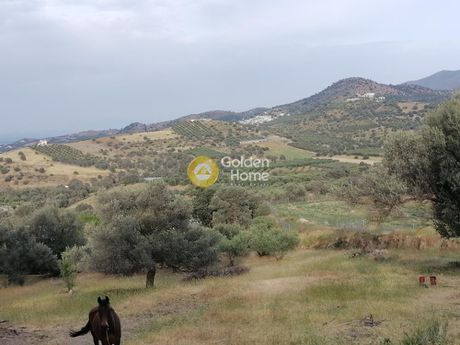 Οικόπεδο 780τ.μ. για πώληση-Τυμπάκι » Σίβας