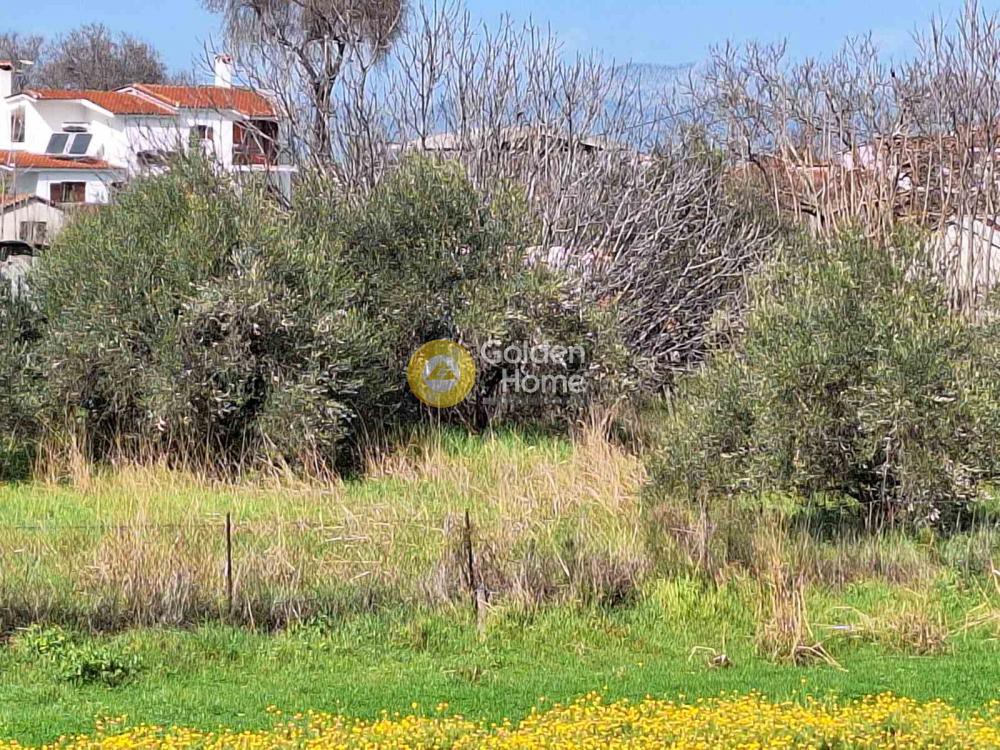 Οικόπεδο 953 τ.μ. προς πώληση, Άγιος Γεώργιος Ιστιαίας
