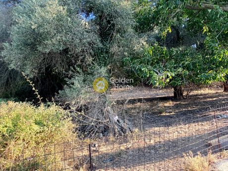 Οικόπεδο 788τ.μ. για πώληση-Ρέθυμνο » Αρμενοί