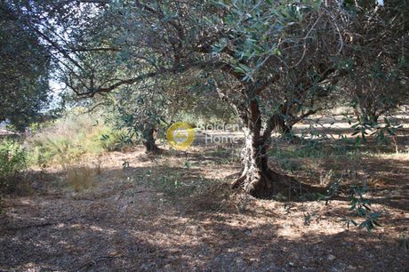 Οικόπεδο 1.329τ.μ. για πώληση-Νίκος καζαντζάκης » Πεζά