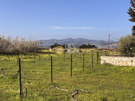 Αγροτεμάχια 4.258τ.μ. για πώληση-Πάρος » Κάμπος