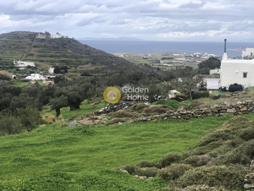 Αγροτεμάχια 7.721 τ.μ. προς πώληση, Μονή Χριστού Δάσους