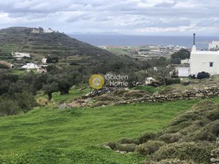 Αγροτεμάχια 7.721 τ.μ. για πώληση