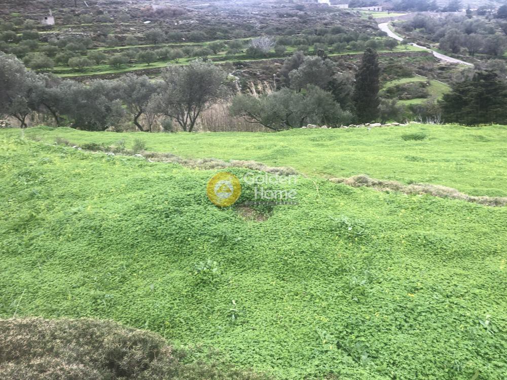 Αγροτεμάχια 7.721 τ.μ. προς πώληση, Μονή Χριστού Δάσους