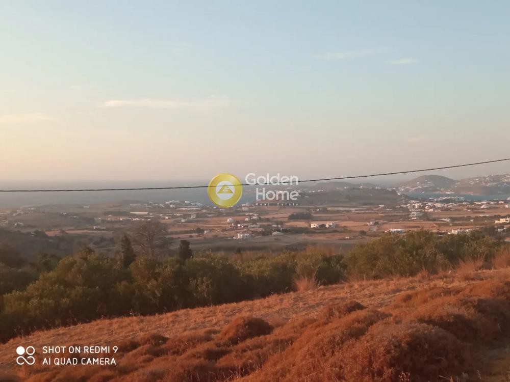 Αγροτεμάχια 7.721 τ.μ. προς πώληση, Μονή Χριστού Δάσους