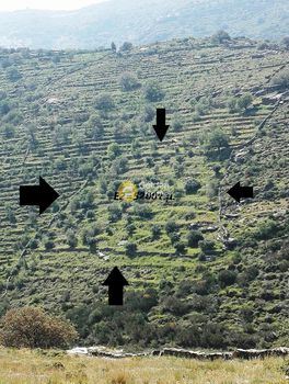 Αγροτεμάχια 5.200τ.μ. για πώληση-Κέα » Φωτημάρι