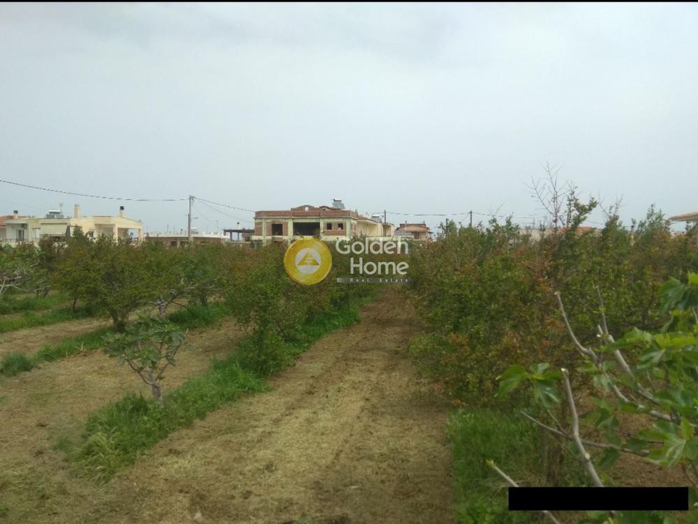 Οικόπεδο 2.262 τ.μ. προς πώληση, Λέχαιο
