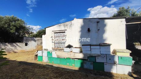 Οικόπεδο 271τ.μ. για πώληση-Παλλήνη » Άγιος νικόλαος