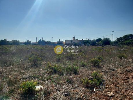 Αγροτεμάχια 10.000τ.μ. για πώληση-Αρτέμιδα (λούτσα) » Γαλήνη
