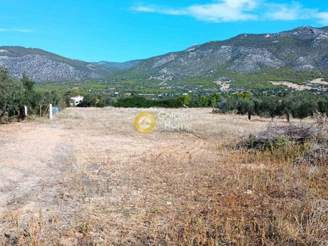 Αγροτεμάχια 7.616τ.μ. για πώληση-Βίλια » Ψάθα