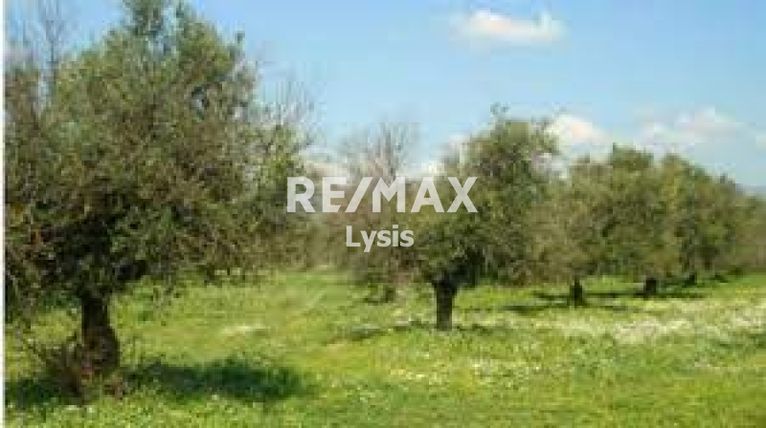 Αγροτεμάχια 1.471 τ.μ. για πώληση, Αρκαδία, Λεωνίδιο