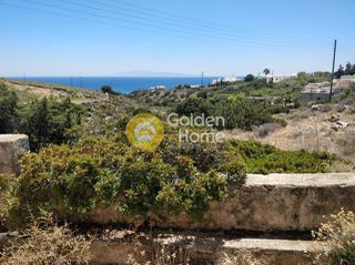 Αγροτεμάχια 31.620 τ.μ. για πώληση