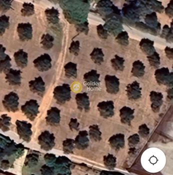 Land plot 4.388sqm for sale-Dytikis Achaias » Paralia Niforaiikon