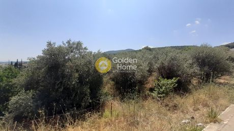 Land plot 265sqm for sale-Livadeia » Perachori