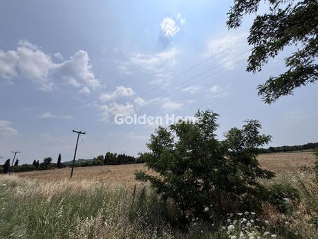 Parcel 11.022sqm for sale-Epanomi » Pirgos Epanomis