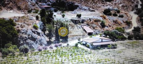 Land plot 8.000sqm for sale-Tetrachori » Avgeniki