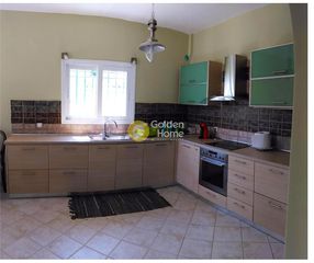Κτίριο 386 τ.μ. για πώληση, Αργολίδα, Κρανίδι-thumb-8