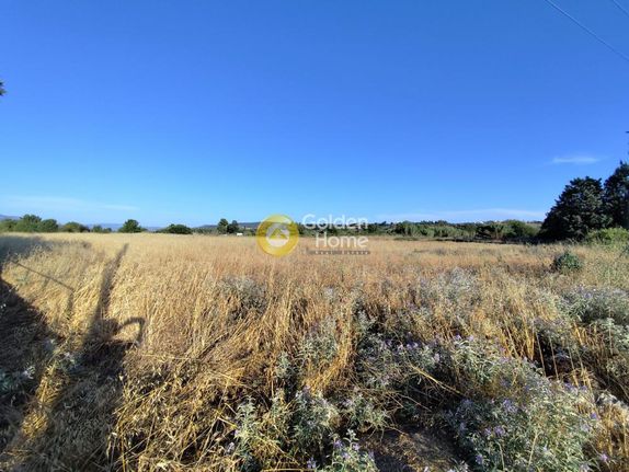 Parcel 4.316 sqm for sale, Thessaloniki - Suburbs, Thermi