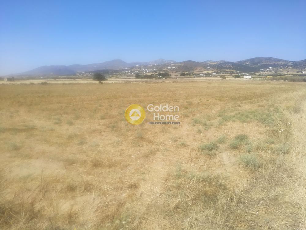 Αγροτεμάχια 4.000 τ.μ. προς πώληση, Παροικιά