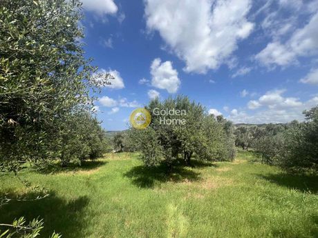 Land plot 4.000sqm for sale-Heraclion Cretes » Athanatoi