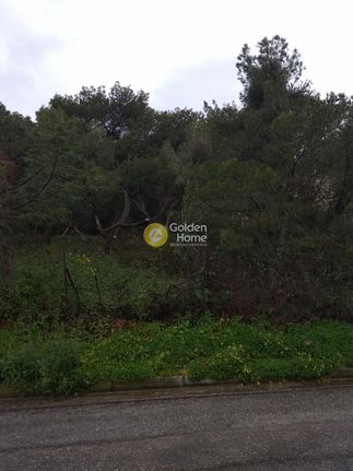 Οικόπεδο 1.522 τ.μ. για πώληση, Αττική - Υπόλοιπο, Ανάβυσσος