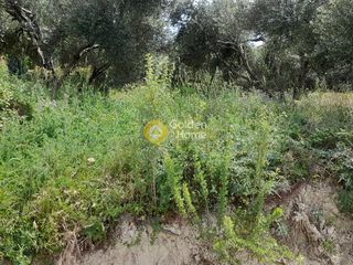 Οικόπεδο 730 τ.μ. για πώληση