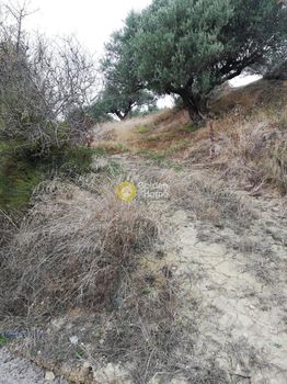 Parcel 3.500sqm for sale-Heraclion Cretes » Skalani
