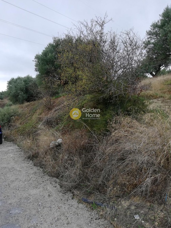 Αγροτεμάχια 3.500 τ.μ. προς πώληση, Σκαλάνι