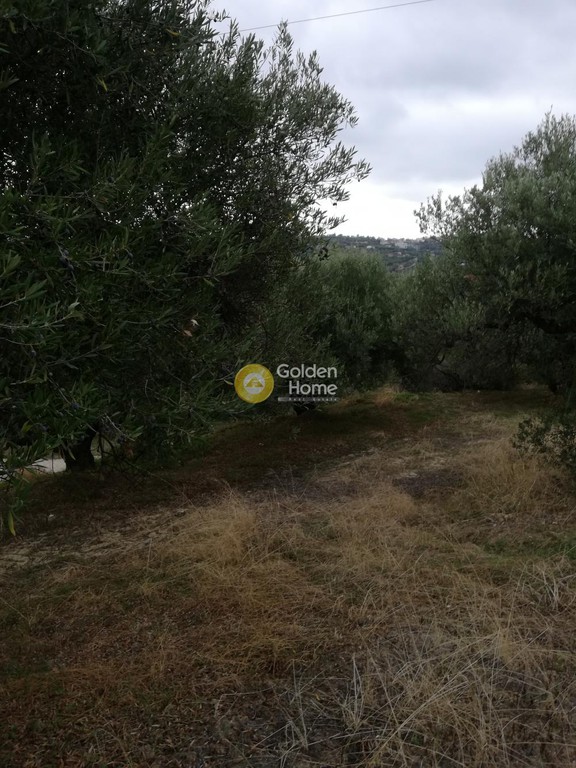 Αγροτεμάχια 3.500 τ.μ. προς πώληση, Σκαλάνι