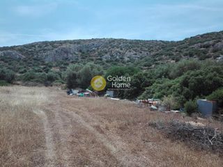 Οικόπεδο 4.277 τ.μ. για πώληση