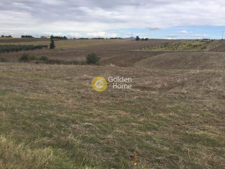 Parcel 4.000sqm for sale-Thermi » Plagiari