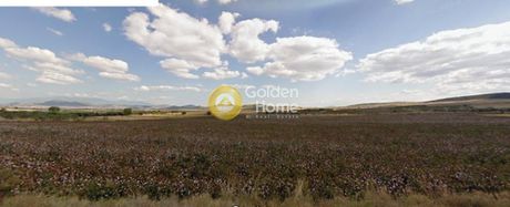 Parcel 11.500sqm for sale-Feron » Perivlepto