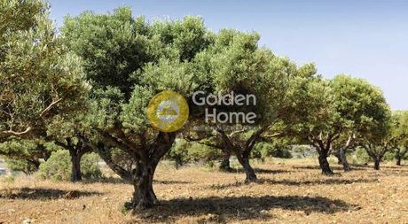 Αγροτεμάχια 4.300τ.μ. για πώληση-Λέσβος - πλωμάρι » Τρύγονας