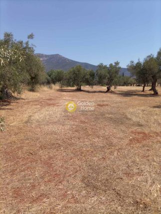 Land plot 5.120 sqm for sale, Arcadia, North Kinouria