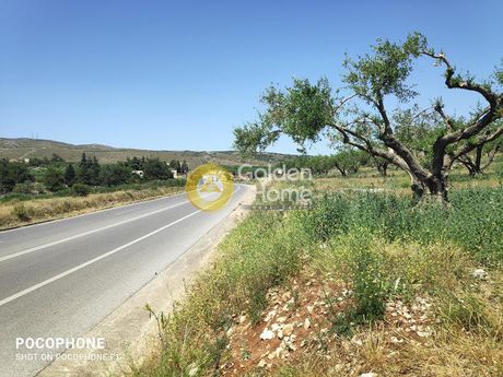 Οικόπεδο 13.250τ.μ. για πώληση-Νίκος καζαντζάκης » Μελέσες