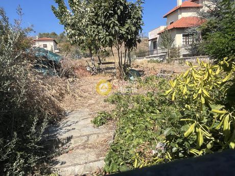 Αγροτεμάχια 803τ.μ. για πώληση-Ωρωπός » Κέντρο