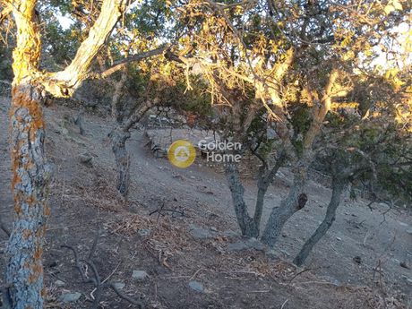 Detached home 60sqm for sale-Kea » Agios Simeon