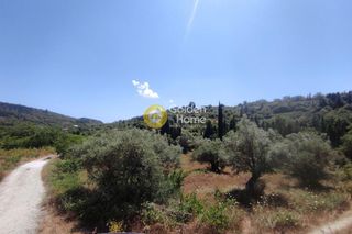 Οικόπεδο 3.491 τ.μ. για πώληση