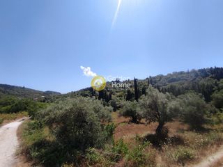 Οικόπεδο 3.491 τ.μ. για πώληση, Ν. Λευκάδας, Λευκάδα-thumb-3