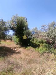 Οικόπεδο 3.491 τ.μ. για πώληση, Ν. Λευκάδας, Λευκάδα-thumb-4