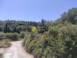 Οικόπεδο 3.491 τ.μ. για πώληση, Ν. Λευκάδας, Λευκάδα-thumb-5