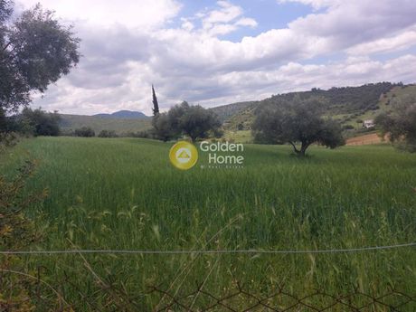 Parcel 4.510sqm for sale-Grammatiko » Katifori