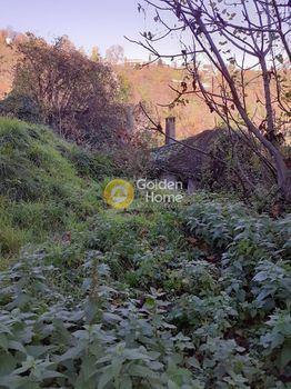 Land plot 5.700sqm for sale-Mouresi » Tsagkarada