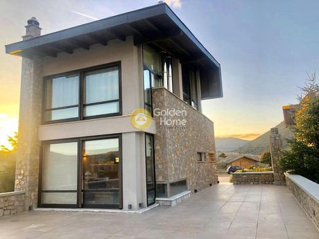 Maisonette 330sqm for rent-Arachova » Kalivia