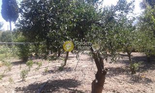 Οικόπεδο 586 τ.μ. για πώληση, Δωδεκάνησα, Κως-thumb-1