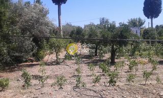 Οικόπεδο 586 τ.μ. για πώληση, Δωδεκάνησα, Κως-thumb-2