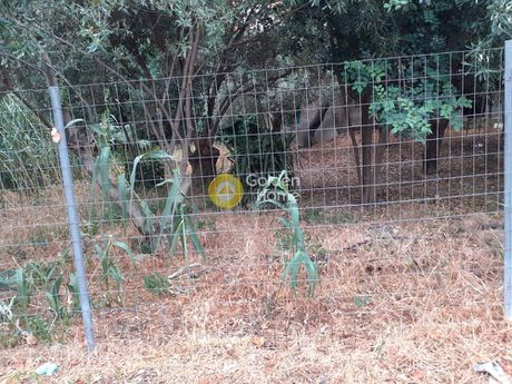 Land plot 508sqm for sale-Glika Nera » Centre
