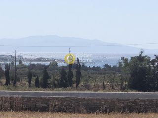 Αγροτεμάχια 5.533 τ.μ. για πώληση